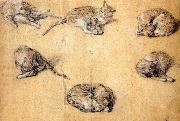 GAINSBOROUGH, Thomas Six studies of a cat oil painting reproduction